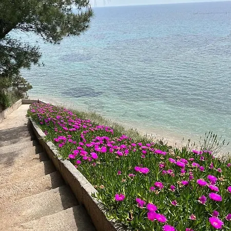 Apartment Sunshine House Offering Spectacular Views To Olymp A Nea Iraklia