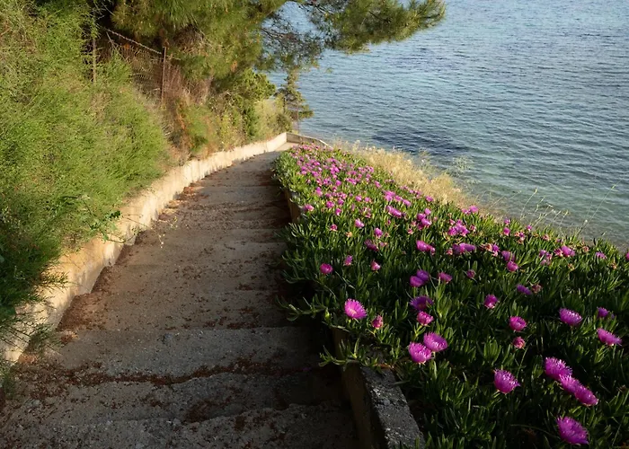 Sunshine House Offering Spectacular Views To Olymp A Appartement